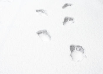 High angle view of snow on field during winter