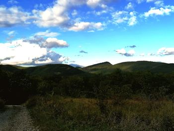 Scenic view of field against sky