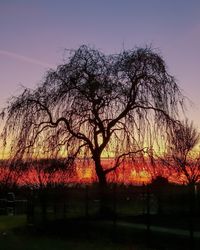 Silhouette bare tree on field against sky at sunset