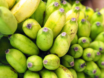 Close-up of grapes