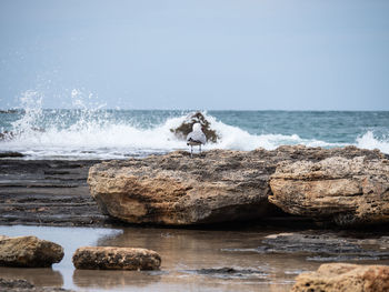 Scenic view of rocks in sea against clear sky