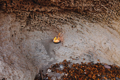 High angle view of crab on rock