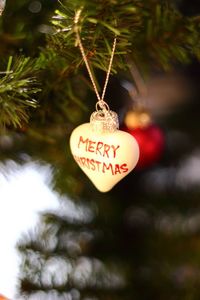Close-up of heart shape hanging on tree