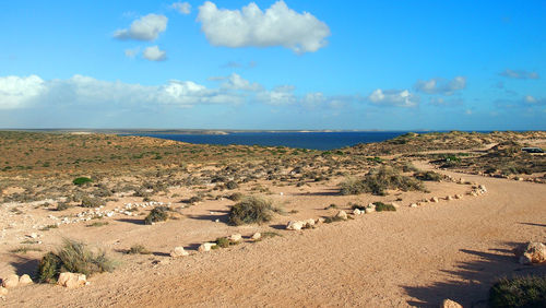 Scenic view of landscape against blue sky