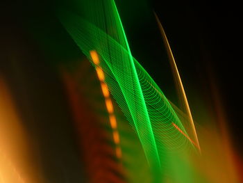 Close-up of illuminated leaf