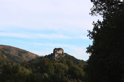 Low angle view of trees and mountain against sky