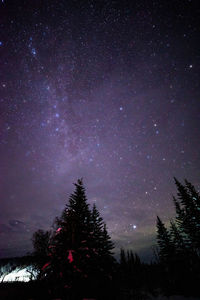 Low angle view of silhouette trees against sky at night