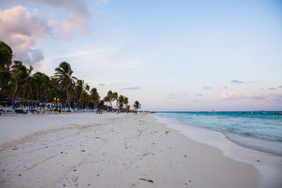 Scenic view of beach