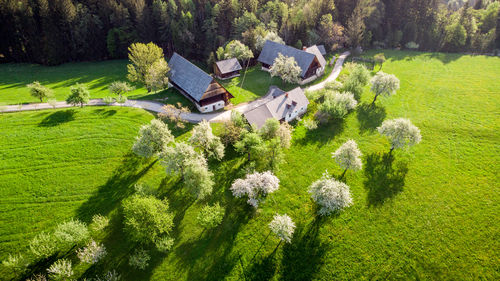 High angle view of cottage amidst trees and buildings