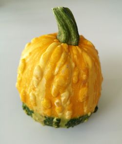 Close-up of pumpkin against white background