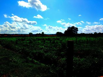 Scenic view of grassy field against cloudy sky