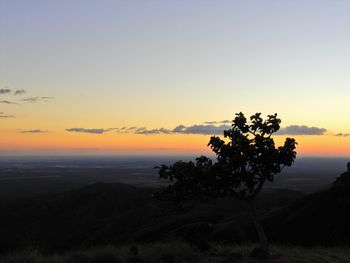 Silhouette tree on landscape against sky during sunset