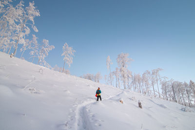 Climbing a mountain in the deep snow at sunrise. adventurer tries to climb a steep hillside