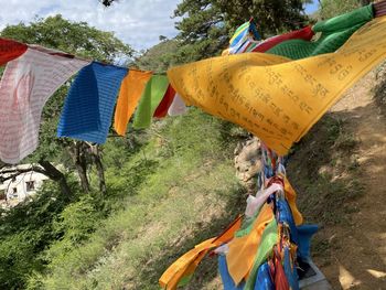 Multi colored flags hanging on land
