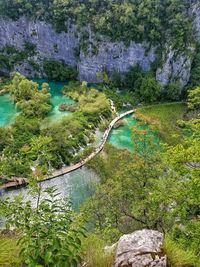 High angle view of lake by trees