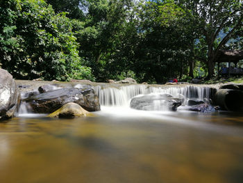 Water flowing through rocks in forest