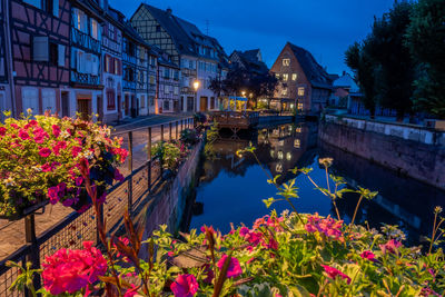 Flowering plants by buildings against sky in city