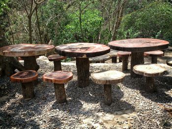 Empty chairs and tables on field in forest