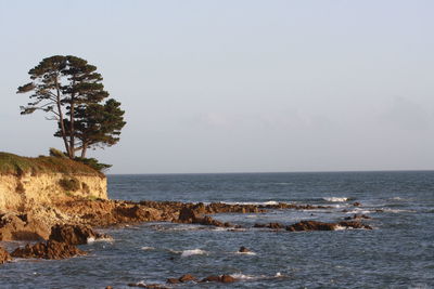 Scenic view of sea and clear sky