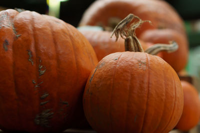 Close-up of pumpkin for sale