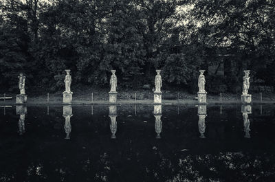 Reflection of trees in water