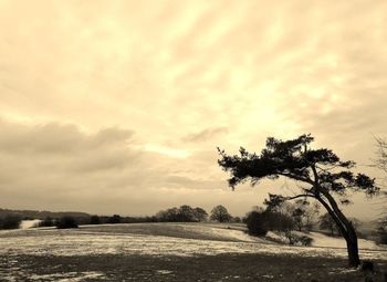 Scenic view of field against sky during sunset