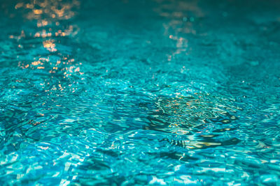 High angle view of swimming pool