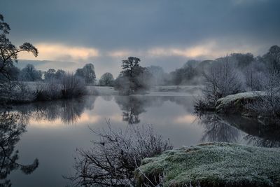 Scenic view of lake by trees against sky