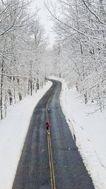 Snow covered road amidst trees during winter