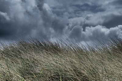 Scenic view of clouds over landscape against sky