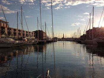 Sailboats in marina