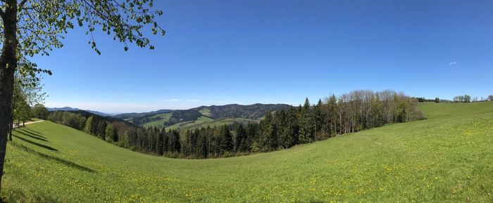 Scenic view of field against clear blue sky