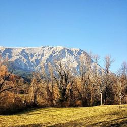 Scenic view of landscape against clear sky