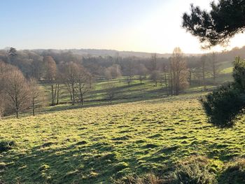 Scenic view of landscape against clear sky