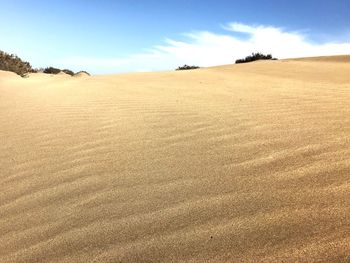 Scenic view of desert against sky