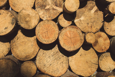 Full frame shot of logs in forest