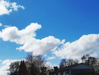 Low angle view of trees and building against sky