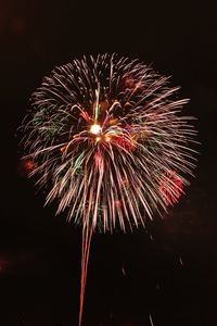 Low angle view of firework display at night