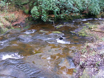Full frame shot of water