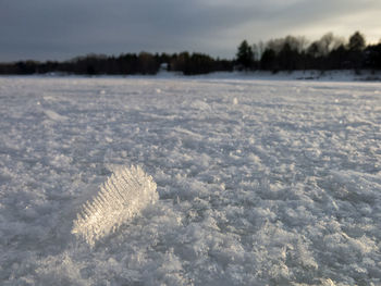 Scenic view of field against sky during winter