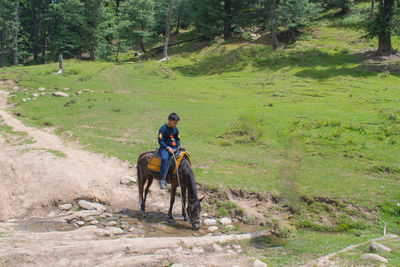 Rear view of boy riding horse on field