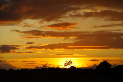 Silhouette trees against dramatic sky during sunset