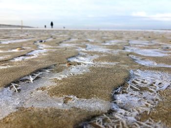 Close-up of beach against sky