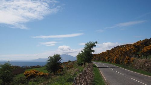 Road by trees against sky