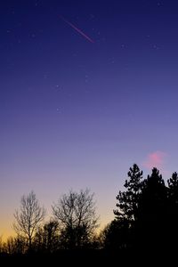 Low angle view of silhouette trees against clear sky at night