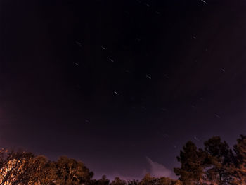 Low angle view of trees against sky at night