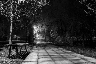 Footpath in park at night