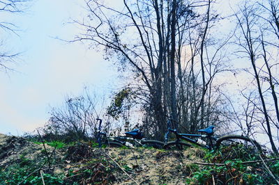 Bare trees on landscape against sky