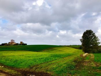 Scenic view of field against sky