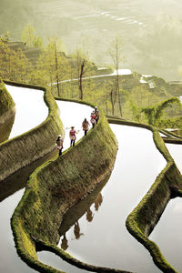 High angle view of people swimming in pool